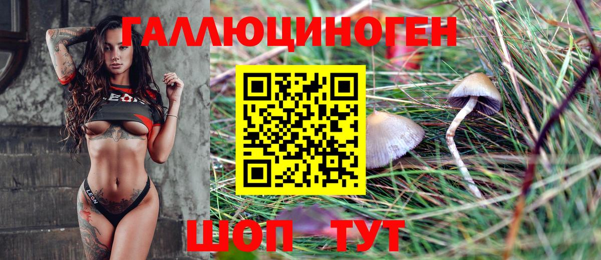 Псилоцибиновые грибы ЛСД Каменка
