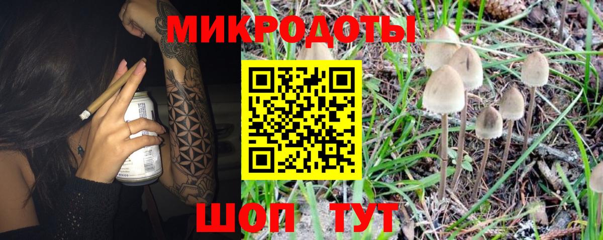 Каменка  Псилоцибиновые грибы ЛСД  Вход с VPN 
